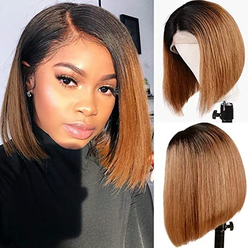 Black Gradient Light Brown Brazilian Straight Hair BOB Wigs Lady Wig