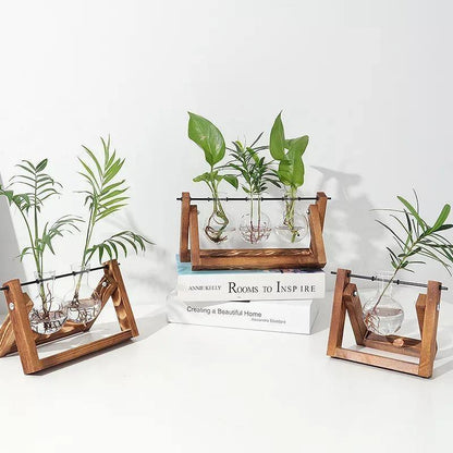 Glass Propagation Vase with A-Frame Wood Stand