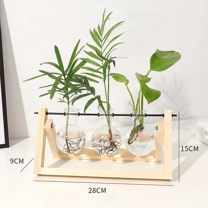 Glass Propagation Vase with A-Frame Wood Stand